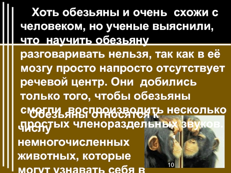 Про обезьянку презентация 3 класс школа россии