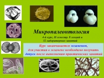 Микропалеонтология
4-й курс, II семестр. 8 лекций и
32 лабораторных