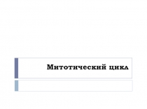 Митоз 