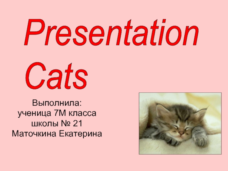 Выполнила:ученица 7М классашколы № 21Маточкина ЕкатеринаPresentation Cats