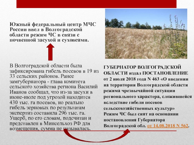 Волгоградская область режим. Засуха в Волгоградской области. Режим ЧС В Волгоградской области. Гибель посевов. Почвы Волгоградской области презентация.