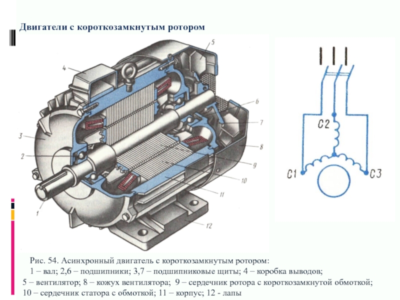 Короткозамкнутый двигатель схема