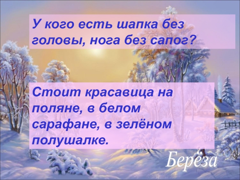 У кого есть шапка без. В белом сарафане встала на Поляне. Загадка в белом сарафане встала на Поляне. Стоит красавица на Поляне в белом сарафане в зеленом полушалке. Загадка у кого есть шапка без головы нога без сапога.