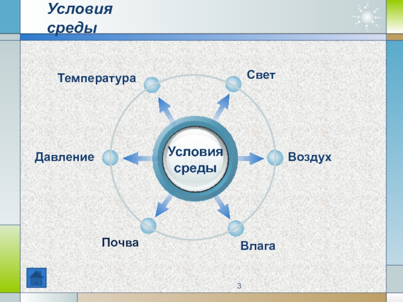 Каким образом условия среды. Условия среды. Среда условия среды. Условия среды свет. Условия среды схема.