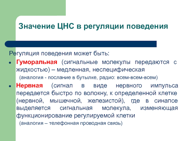 АНАТОМИЯ ЦНС
Лекция 2
Филогенез нервной системы
Онтогенез ЦНС у человека Значение ЦНС в регуляции поведенияРегуляция поведения может быть:Гуморальная (сигнальные молекулы передаются Значение ЦНС в регуляции поведенияРегуляция поведения может быть:Гуморальная (сигнальные молекулы передаются с жидкостью) – медленная, неспецифическая