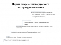 Норма современного русского литературного языка