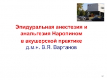 Эпидуральная анестезия и анальгезия Наропином
в акушерской практике д.м.н. В.Я