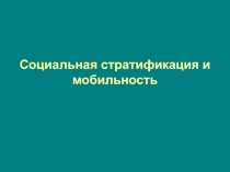 Социальная стратификация и мобильность