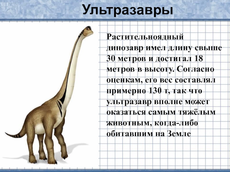 30 метров в длину. Ультразавр. Растительноядный Ультразавр. Ультразавр ультра завр. Ультразавр Размеры.