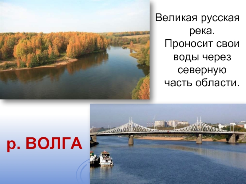 Великая русская река. Проносит свои воды через северную часть области.р. ВОЛГА