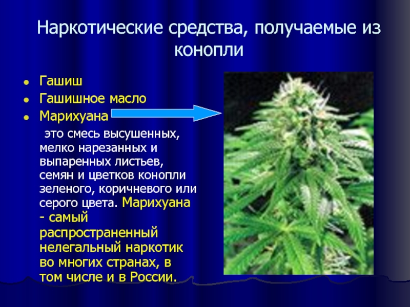 К какому типу наркотиков относится марихуана метаморфин наркотики
