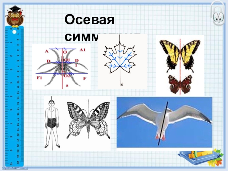 Осевая симметрия 8 класс