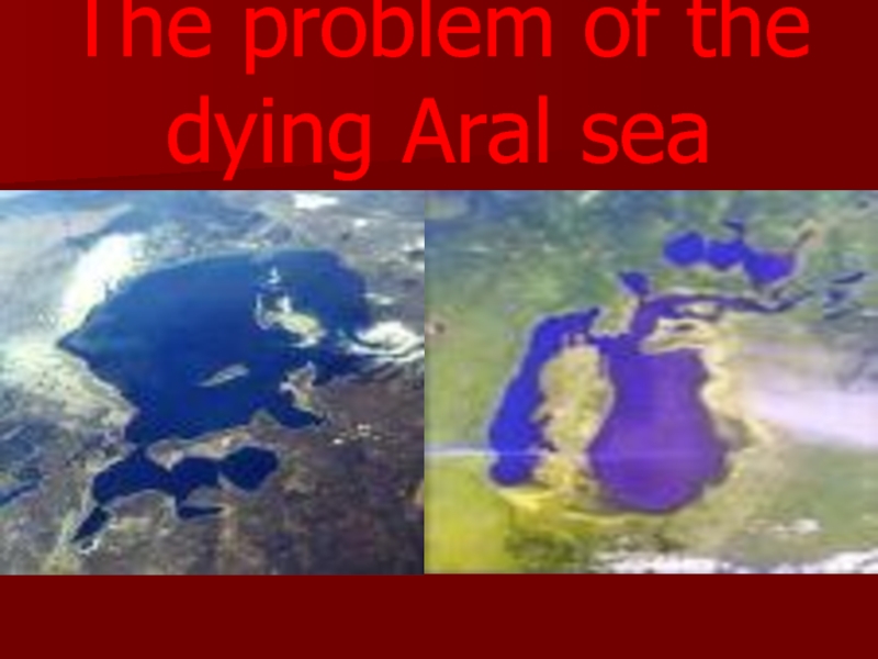Презентация The problem of the dying Aral sea