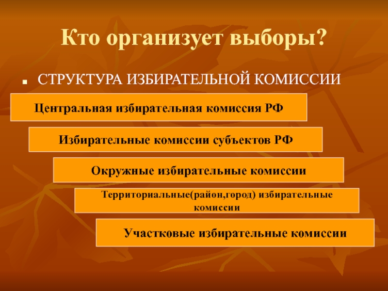 Структура выборов. Структура избирательной комиссии. Выборы структура. Состав избирательной комиссии субъекта РФ. Окружные избирательные комиссии.