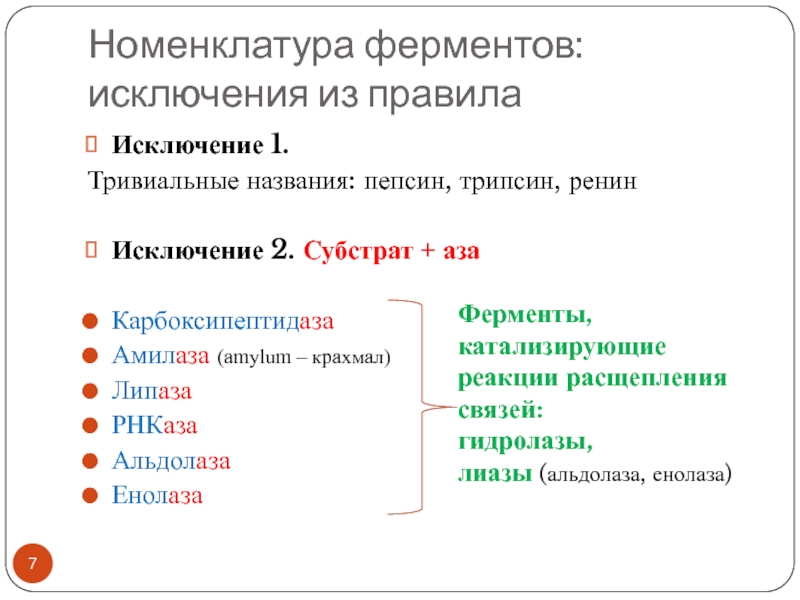 Амилаза липаза трипсин. Систематическая номенклатура ферментов. Тривиальные названия ферментов. Пепсин трипсин амилаза. Тривиальная номенклатура ферментов.