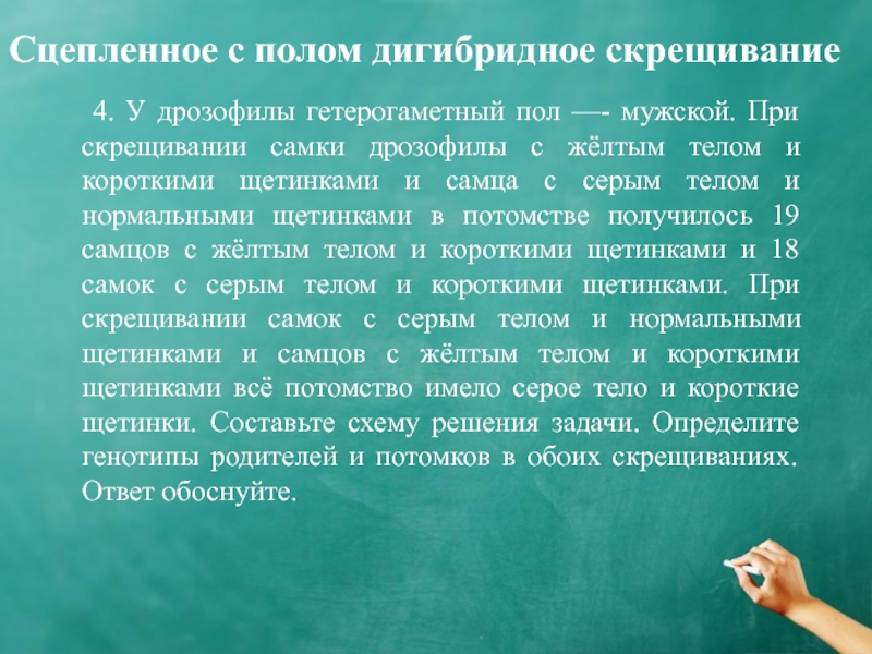 При скрещивании дрозофил с нормальными крыльями. Гетерогаметный пол дрозофилы мужской. Дигибридное скрещивание сцепленное с полом. У дрозофилы гетерогаметный пол мужской при скрещивании. Задачи на дигибридное скрещивание сцепленное с полом.