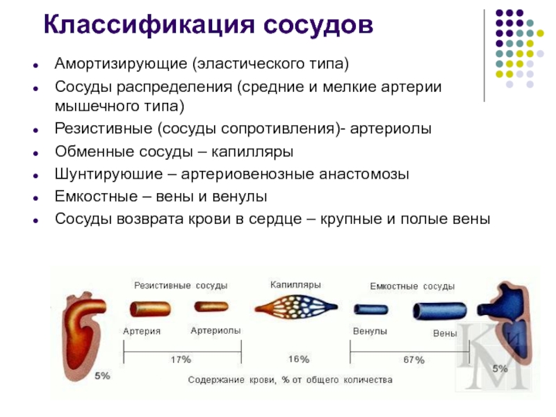 Сосуды сопротивления