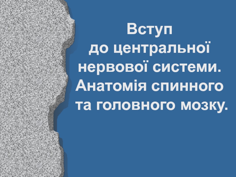 Презентация Вступ
до центральної
нервової системи.
Анатомія спинного
та головного мозку