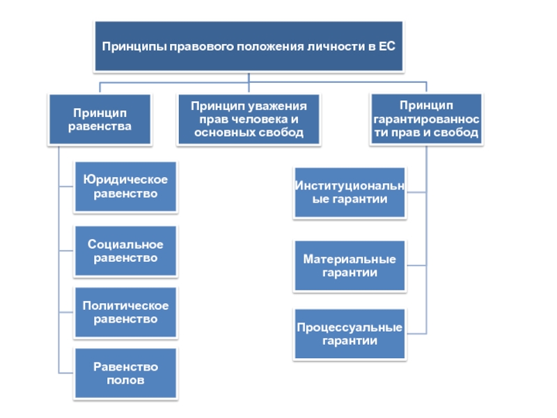 Основы права европейского союза схемы и комментарии