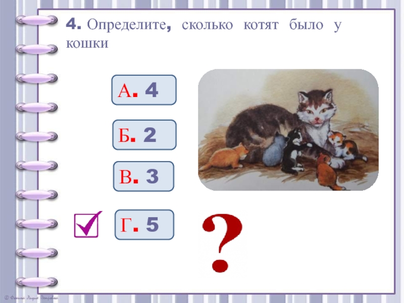 План рассказа котенок