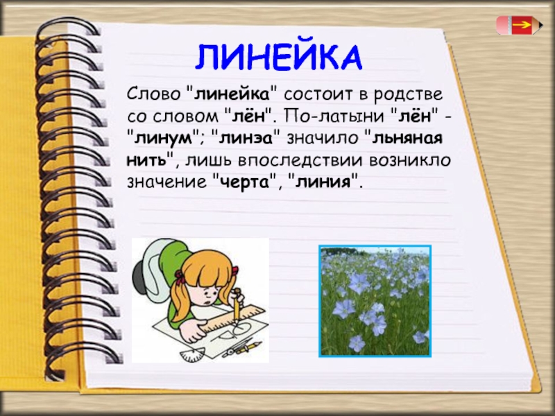 Значение слова пришло. Линейка родственные слова. Слово линейка. Откуда произошло слово линейка. Родственные слова к слову линейка.