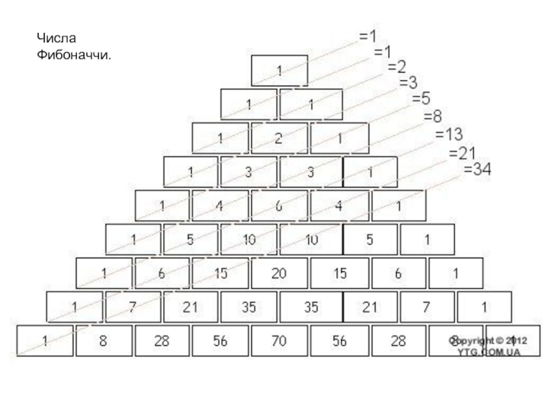Y 1 8 13 3 5 7. Числа Фибоначчи пирамида. Фибоначчи последовательность чисел. Ряд Фибоначчи таблица. Таблица первых 40 чисел Фибоначчи.