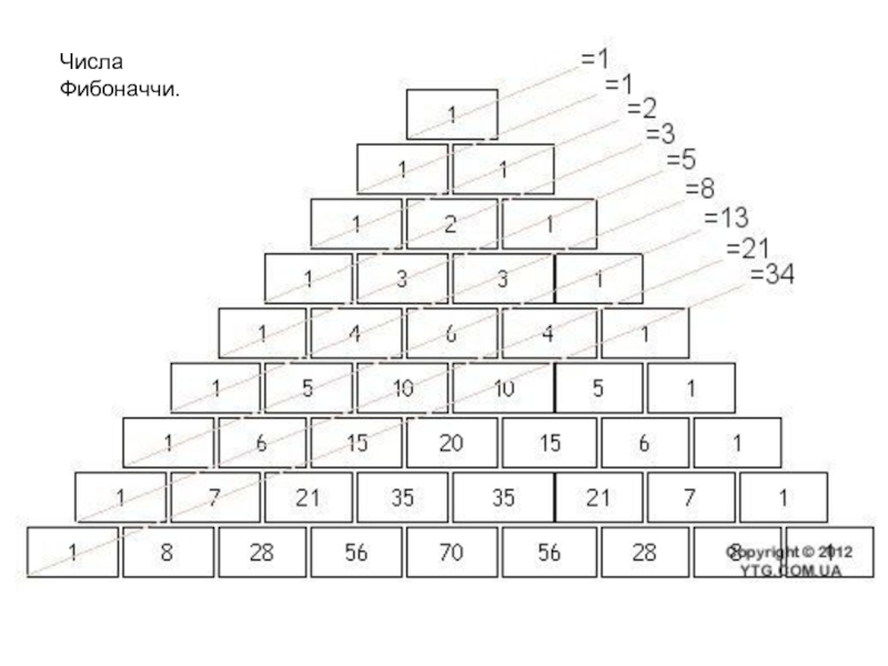 Ряд 1 2 3 5 8. Пирамида Фибоначчи. Числа Фибоначчи. Ряд Фибоначчи пирамида. Числа Фибоначчи таблица.