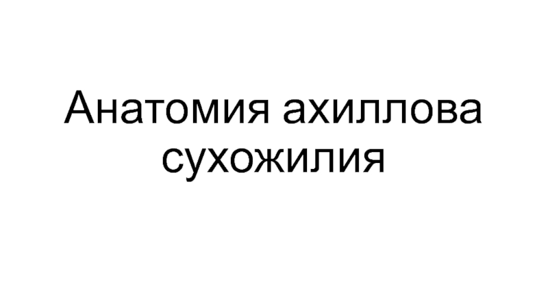 Презентация Анатомия ахиллова сухожилия