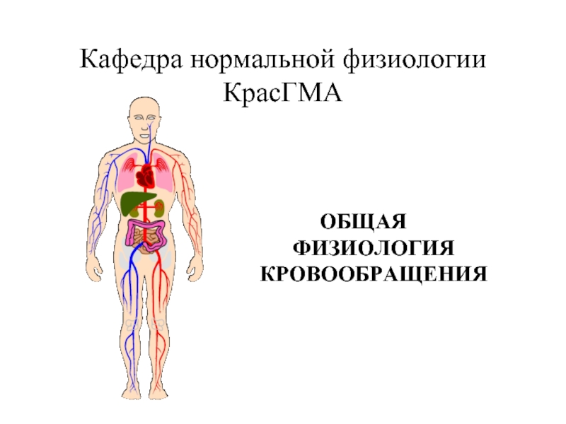 Презентация Общая физиология кровообращения