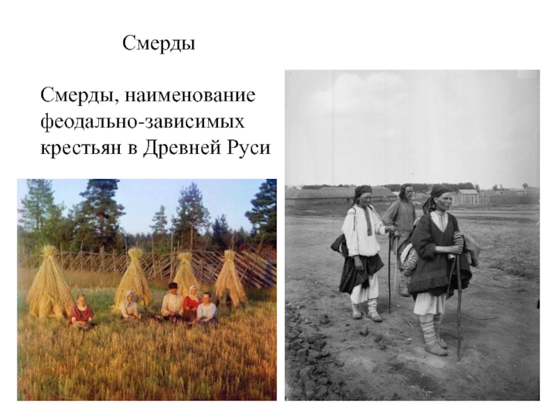 СмердыСмерды, наименование феодально-зависимых крестьян в Древней Руси
