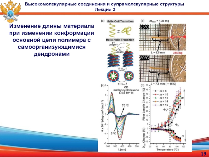 доцент, к.х.н. Малахова Юлия Николаевна
Лекция 3
Высокомолекулярные Изменение длины материала при изменении конформации основной цепи полимера с самоорганизующимися Изменение длины материала при изменении конформации основной цепи полимера с самоорганизующимися дендронамиВысокомолекулярные соединения и супрамолекулярные структуры Лекция