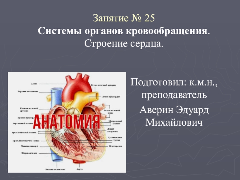 Подготовил: к.м.н., преподавательАверин Эдуард МихайловичЗанятие № 25 Системы органов кровообращения. Строение сердца.