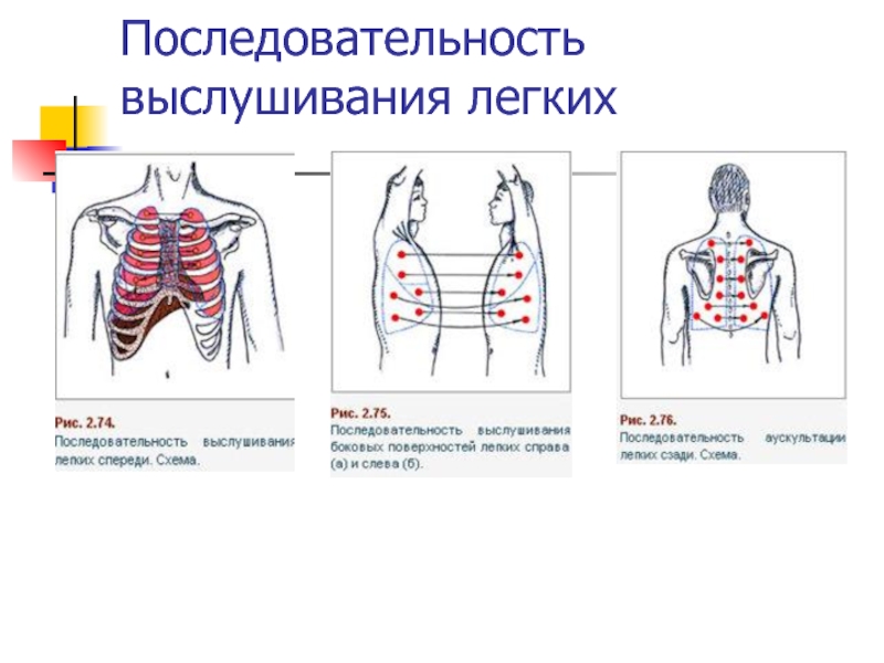 Инструментальные методы дыхательной системы. Порядок исследования системы органов дыхания. Методы исследования дыхательной системы. Методика обследования дыхательной системы. Алгоритм обследования дыхательной системы.