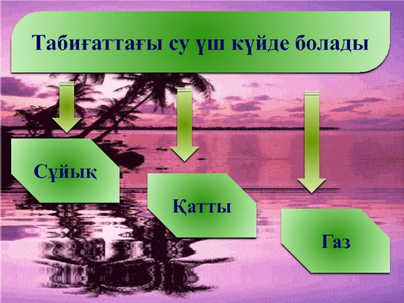 Табиғаттағы су айналымы. Презентация Су астындағы тіршілік. Су адамға не үшін қажет. Су кабактин суурети. Су уйехсем чавшла.