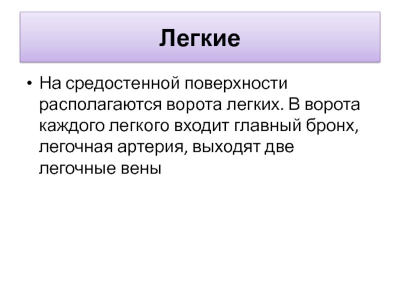 Ворота легкого находятся на поверхности. В каждое легкое входит.