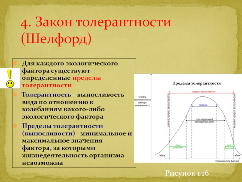 Закон толерантности