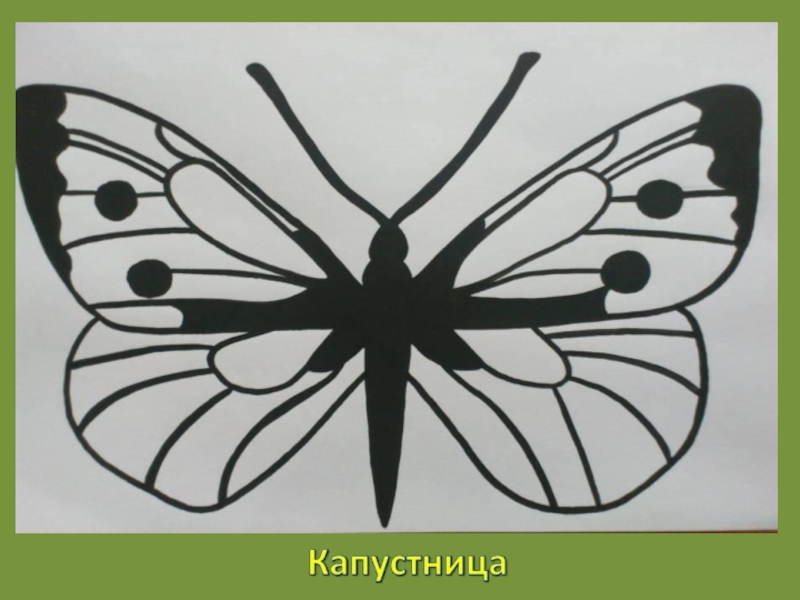 Бабочки изо. Урок изо бабочка. Бабочка рисунок изо. Бабочка 2 класс изо. Изо 2 класс бабочка отпечатать.