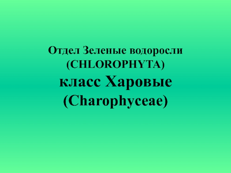 Отдел Зеленые водоросли (CHLOROPHYTA) класс Харовые (Charophyceae)