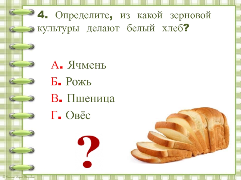 4. Определите, из какой зерновой культуры делают белый хлеб?А. ЯчменьБ. РожьВ. ПшеницаГ. Овёс