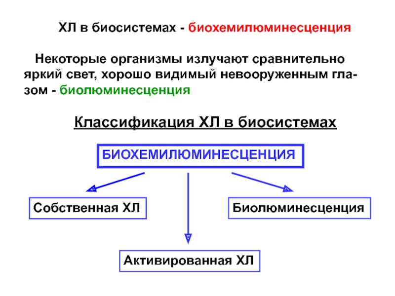 Некоторые организмы