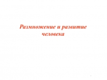 .
Размножение и развитие человека