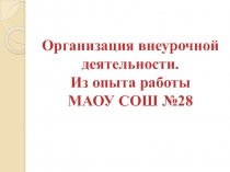 Организация внеурочной деятельности в школе