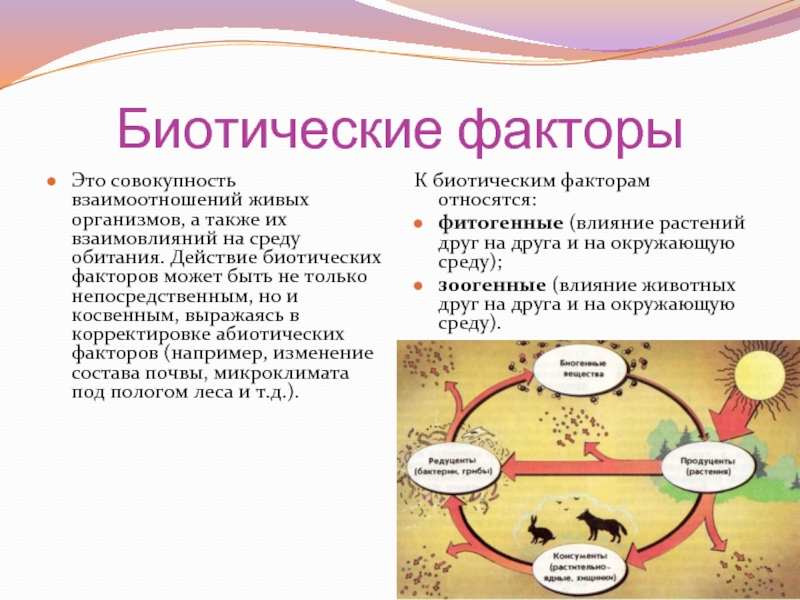 Биотические факторы презентация 9 класс биология