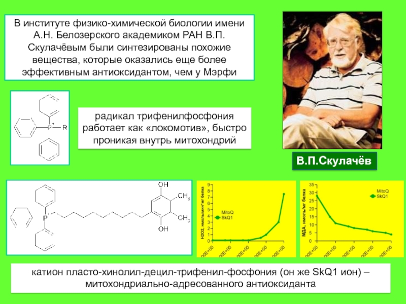 Проект ионы скулачева