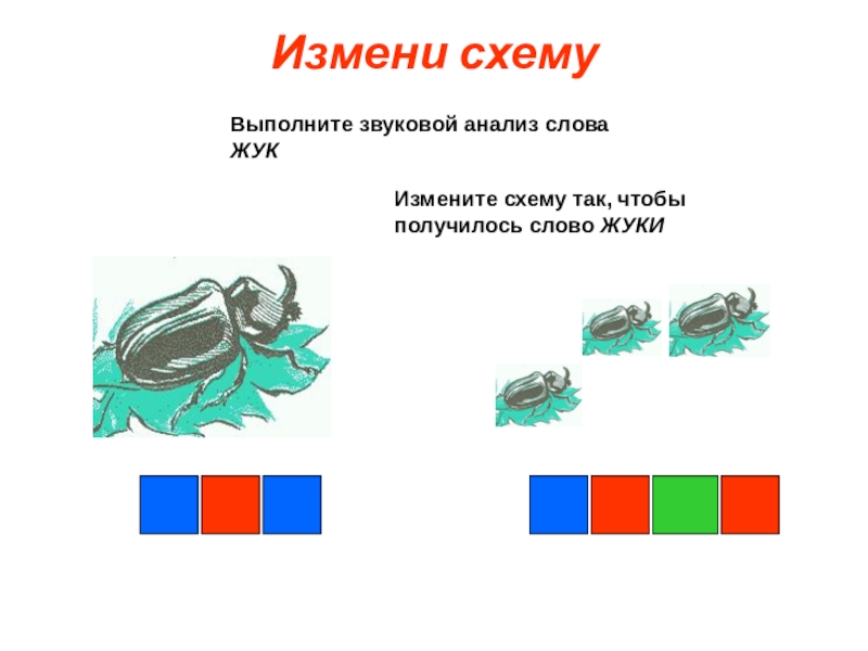 Звуковой анализ слова схема. Звуковой анализ Жук. Жук звуковая схема. Схема слова Жук.