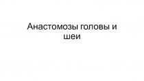 Анастомозы головы и шеи
