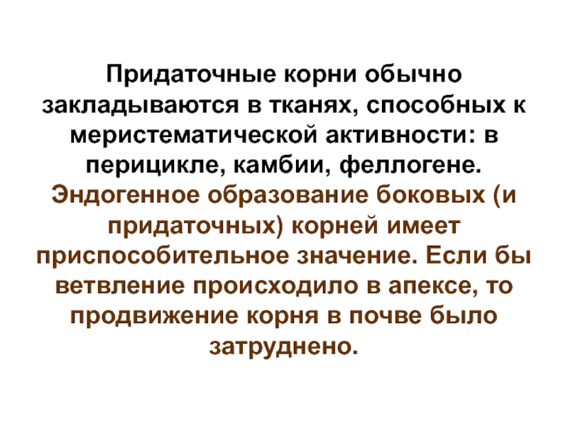 Эндогенно в зоне проведения любого корня. Меристематическая активность это.