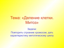 Тема: Деление клетки. Митоз