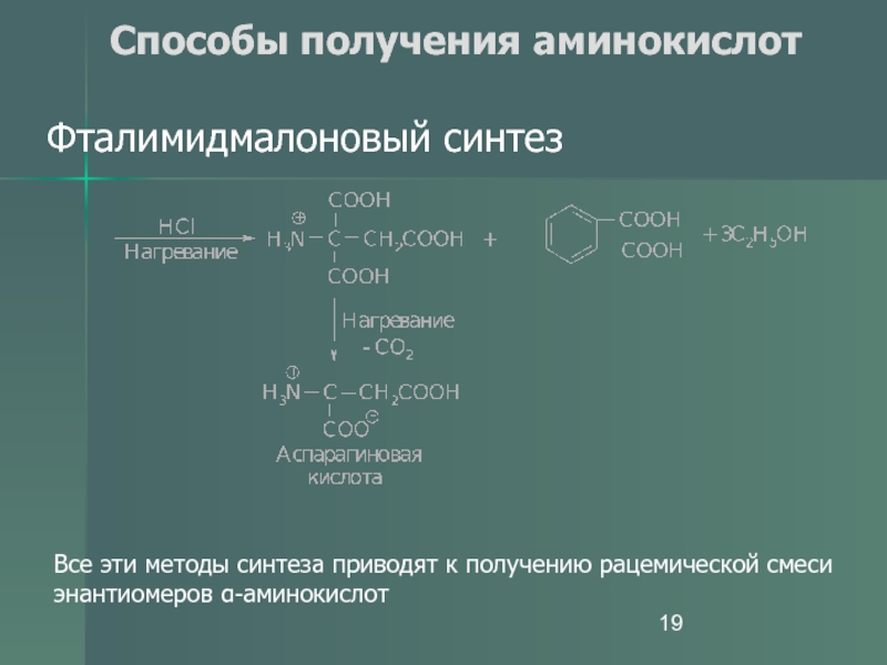 Синтез аминокислот. Получение аминокислот. Способы получения белков. Методы получения аминокислот. Методы синтеза аминокислот.