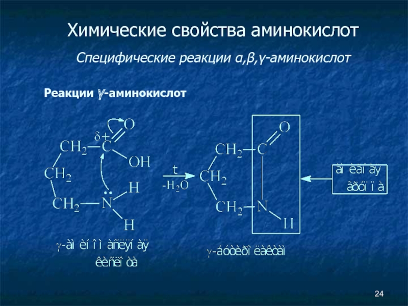 Реакции аминокислот